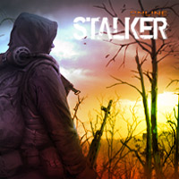Stalker Online (PC cover